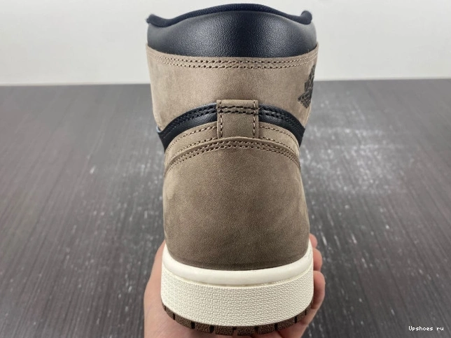 Palomino Jordan Retro DZ5485-020  OG  1  High 0808